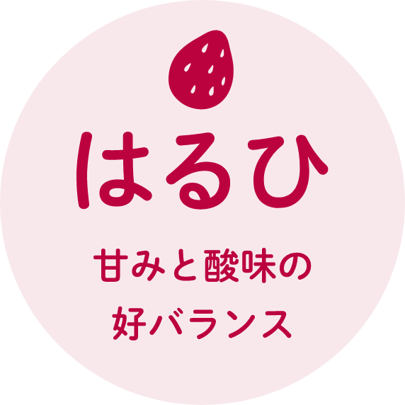 はるひ:甘味と酸味の好バランス